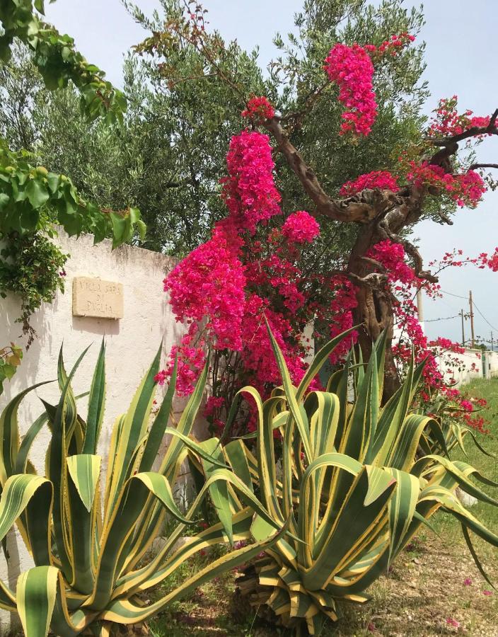 Villa Sara Di Puglia Кастелланета Экстерьер фото
